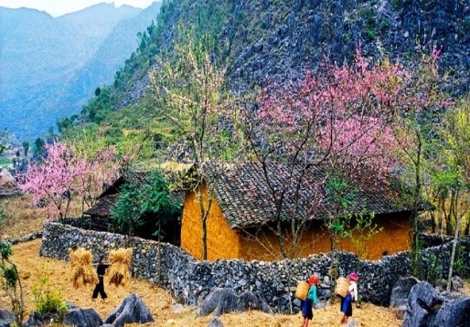 Tour Hà Giang 4N3Đ huyền thoại đá nở hoa